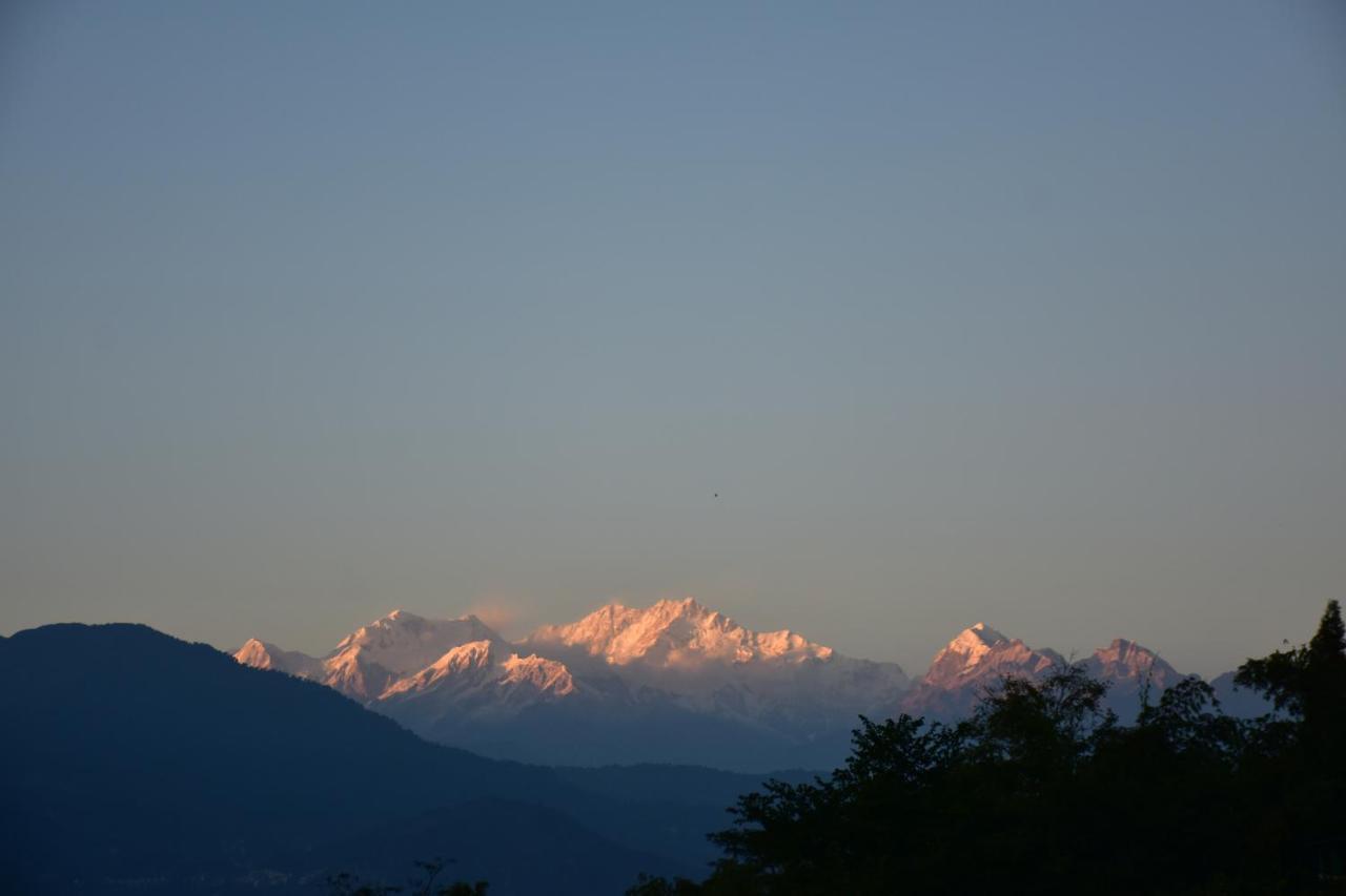 Singtom Tea Estate & Resort Darjeeling  Exteriör bild