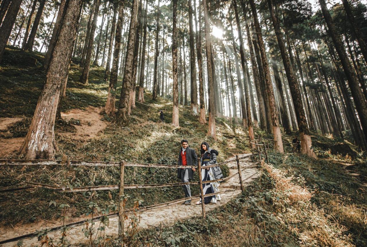 Singtom Tea Estate & Resort Darjeeling  Exteriör bild