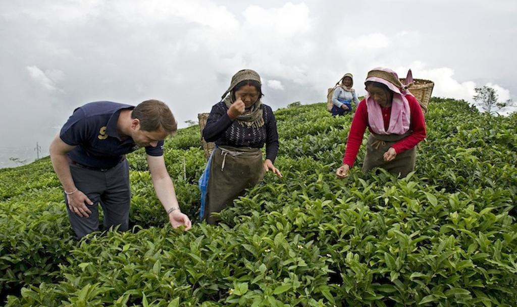 Singtom Tea Estate & Resort Darjeeling  Exteriör bild